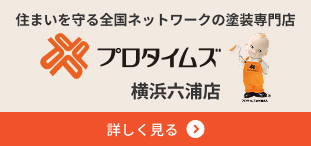 プロタイムズ横浜六浦店
